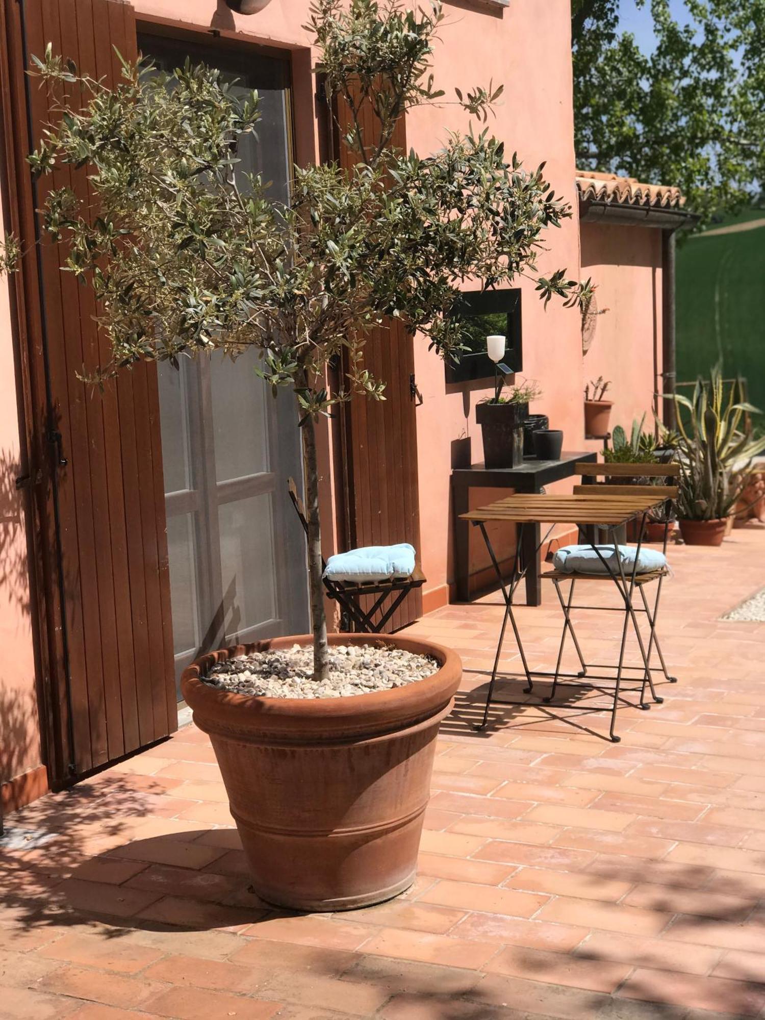 Santa Maria Nuova Il Posto Perfetto住宿加早餐旅馆 外观 照片
