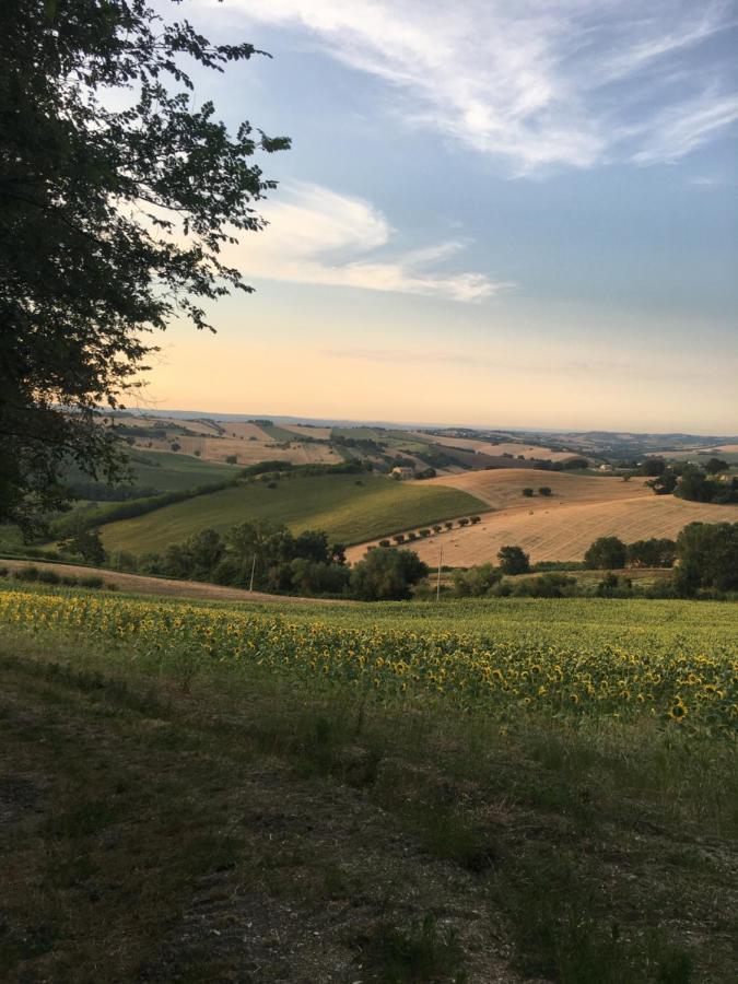 Santa Maria Nuova Il Posto Perfetto住宿加早餐旅馆 外观 照片